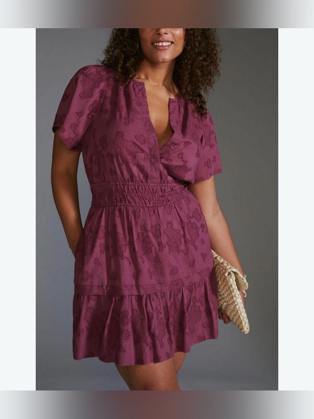 Anthropologie Somerset Textured Mini Dress Embroidered Tiered 2X Cotton Boho